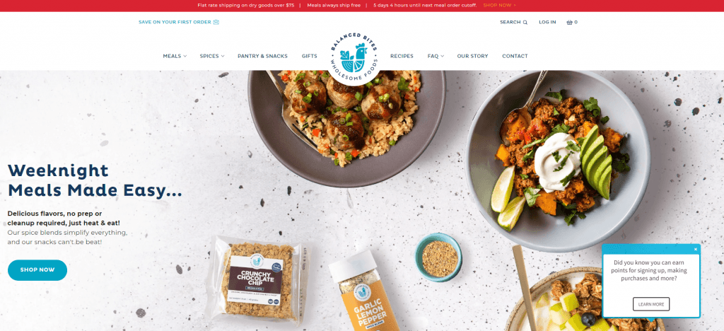 Image of Balance Bites website