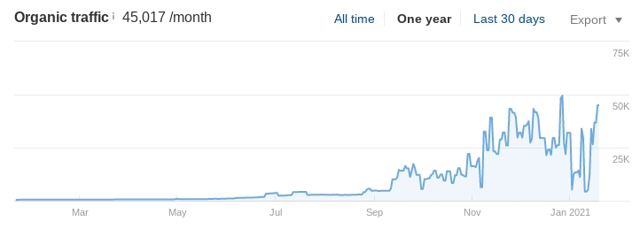 Our pool company client increased organic traffic to 45,000 visitors per month. 